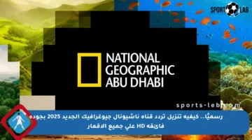 رسميًا.. كيفية تنزيل تردد قناة ناشيونال جيوغرافيك الجديد 2025 بجودة فائقة HD على جميع الأقمار